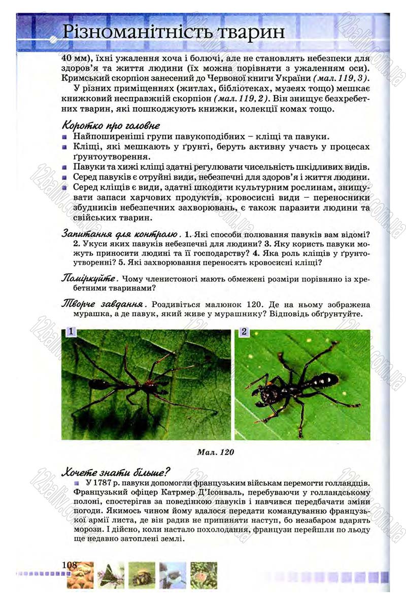 Сторінка 108 - Підручник Біологія 8 клас В.В. Серебряков, П.Г. Балан 2008