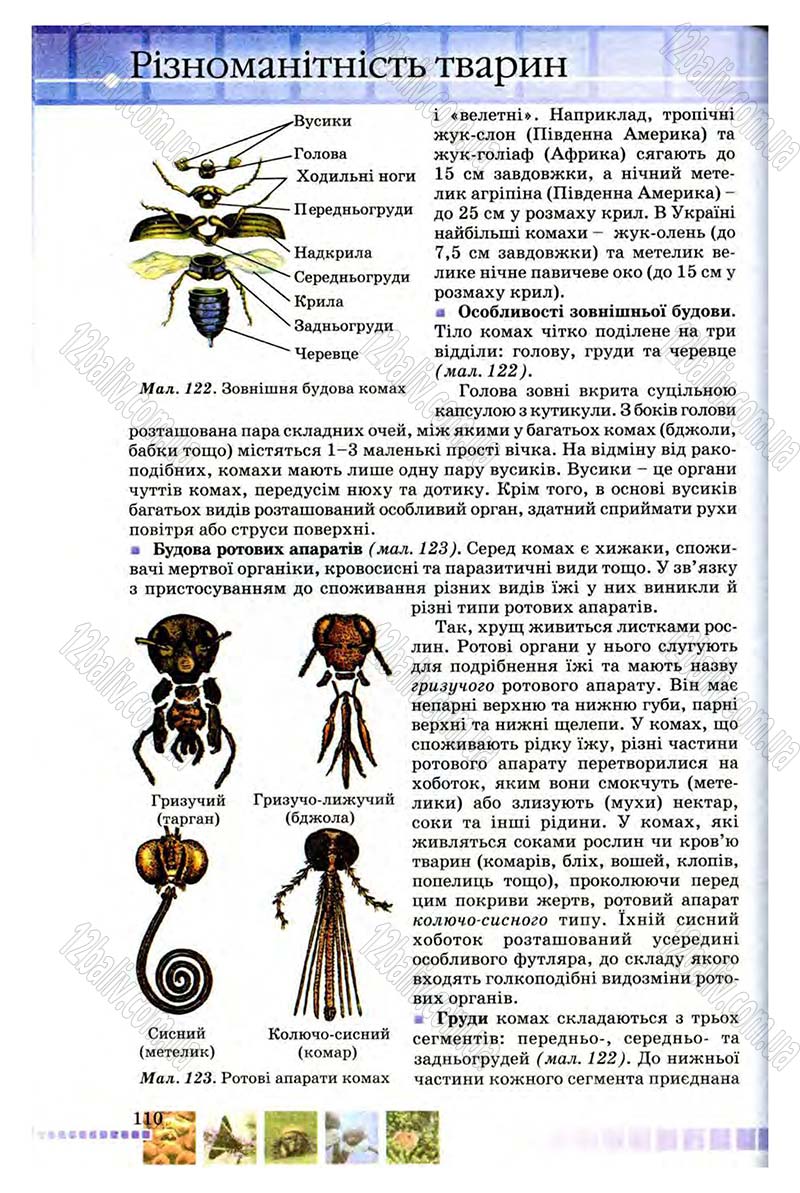 Сторінка 110 - Підручник Біологія 8 клас В.В. Серебряков, П.Г. Балан 2008