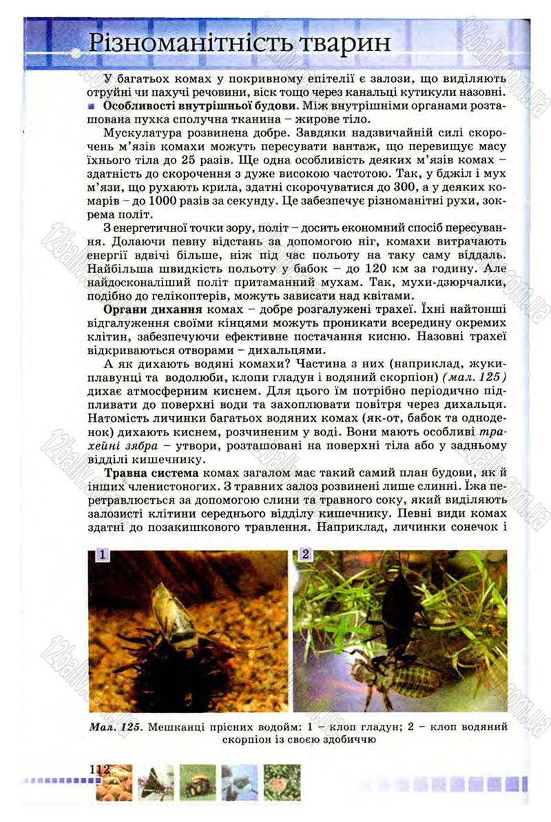 Сторінка 112 - Підручник Біологія 8 клас В.В. Серебряков, П.Г. Балан 2008