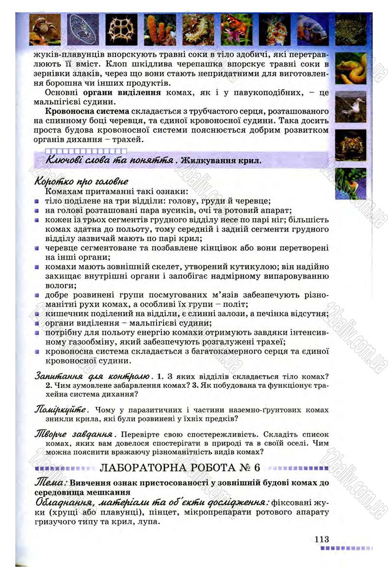 Сторінка 113 - Підручник Біологія 8 клас В.В. Серебряков, П.Г. Балан 2008