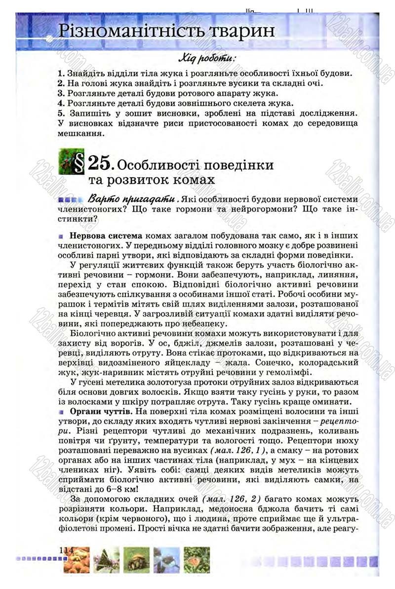 Сторінка 114 - Підручник Біологія 8 клас В.В. Серебряков, П.Г. Балан 2008