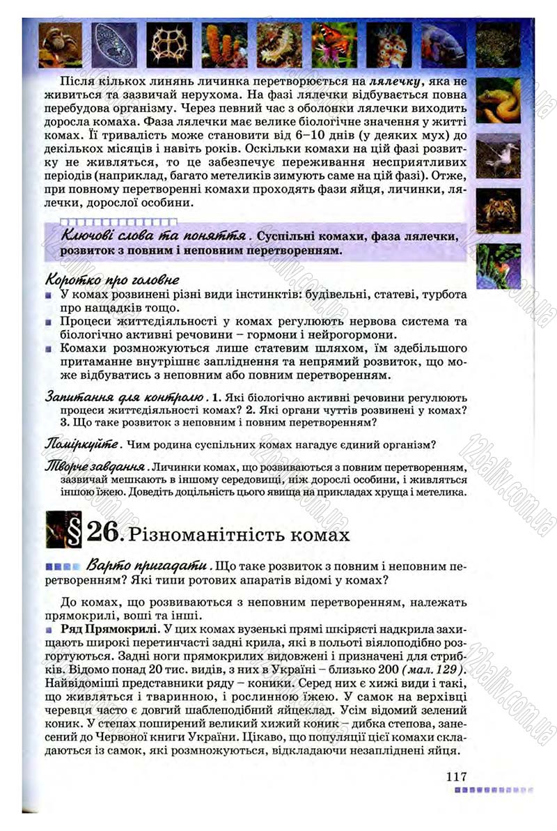 Сторінка 117 - Підручник Біологія 8 клас В.В. Серебряков, П.Г. Балан 2008