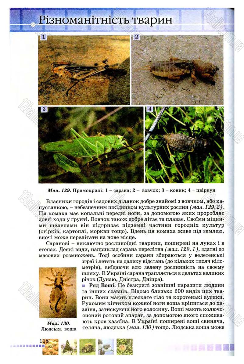 Сторінка 118 - Підручник Біологія 8 клас В.В. Серебряков, П.Г. Балан 2008