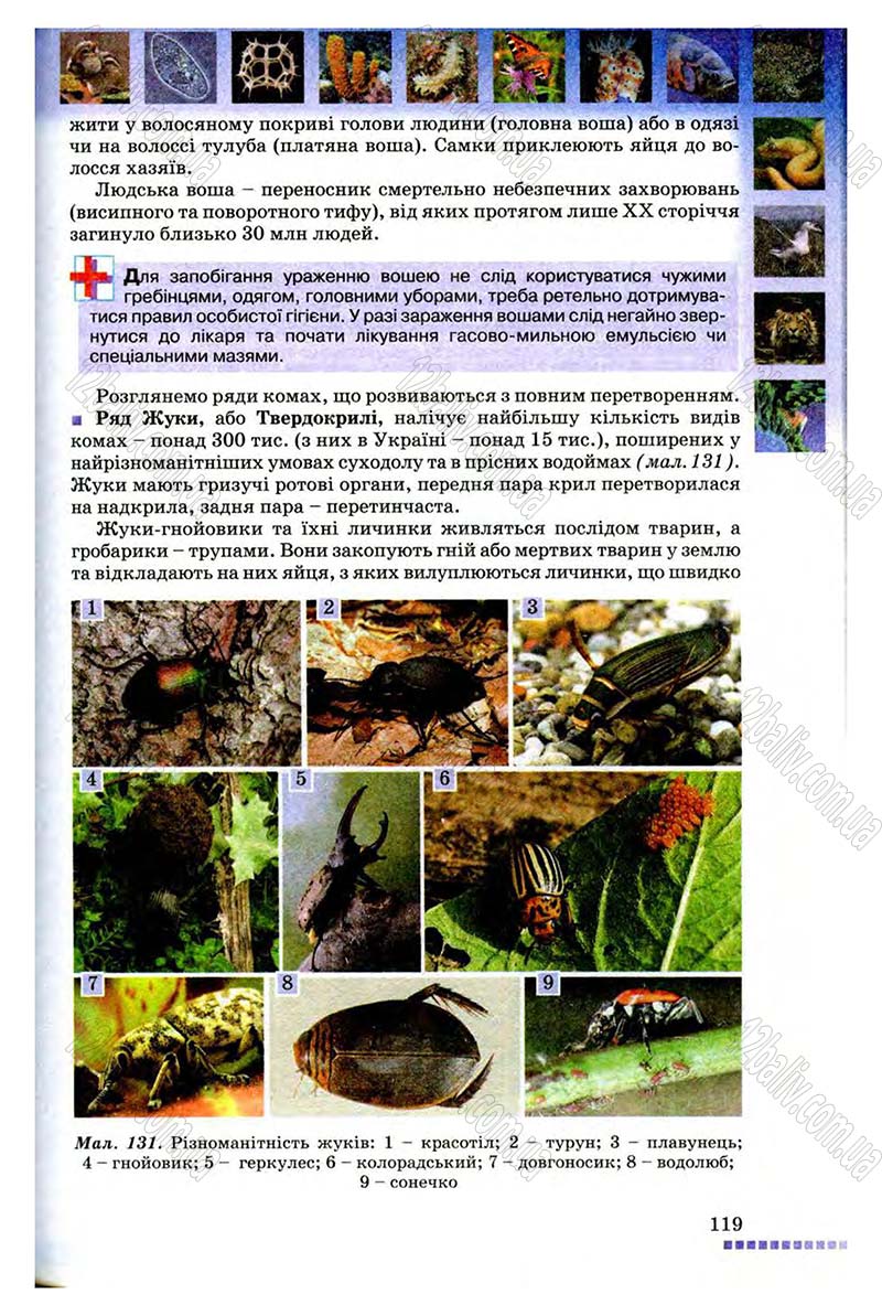 Сторінка 119 - Підручник Біологія 8 клас В.В. Серебряков, П.Г. Балан 2008