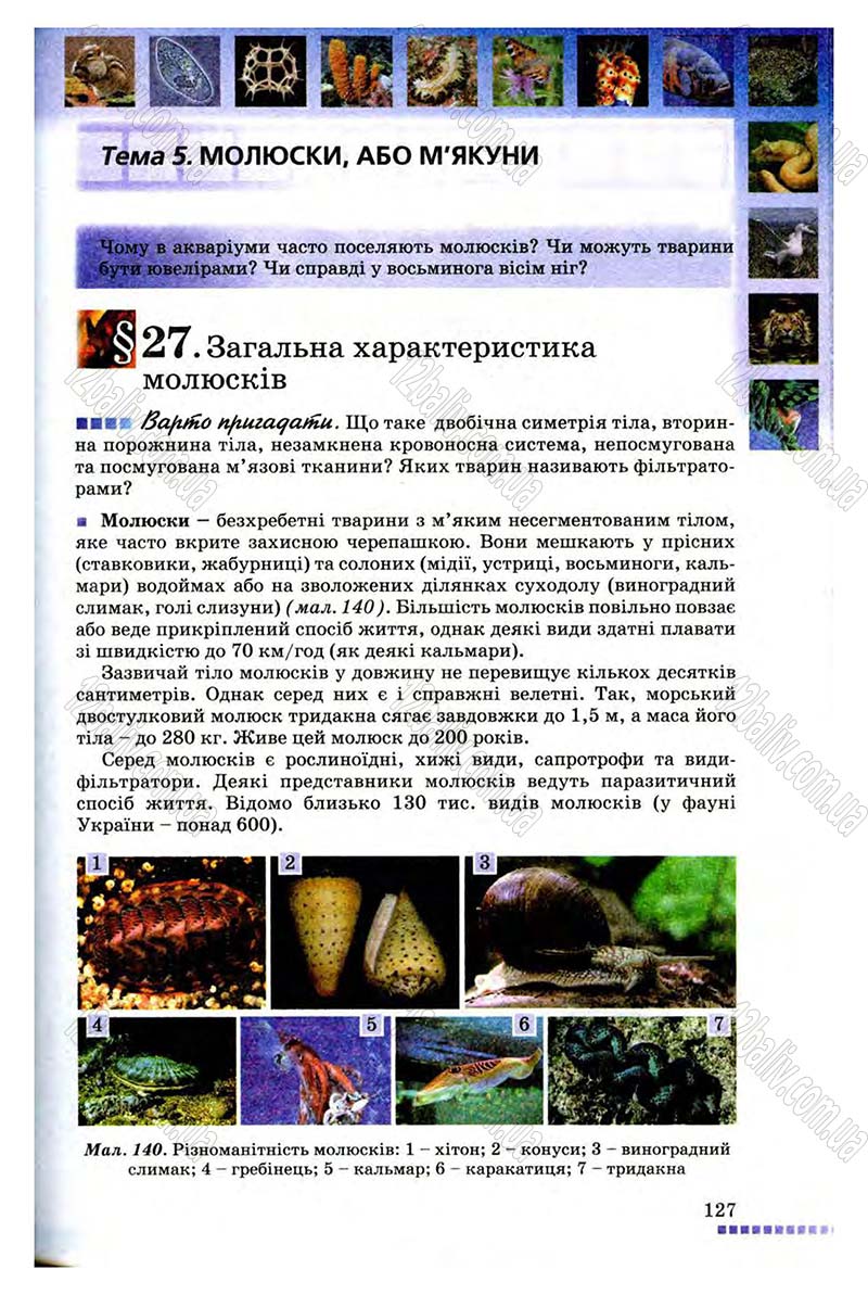 Сторінка 127 - Підручник Біологія 8 клас В.В. Серебряков, П.Г. Балан 2008