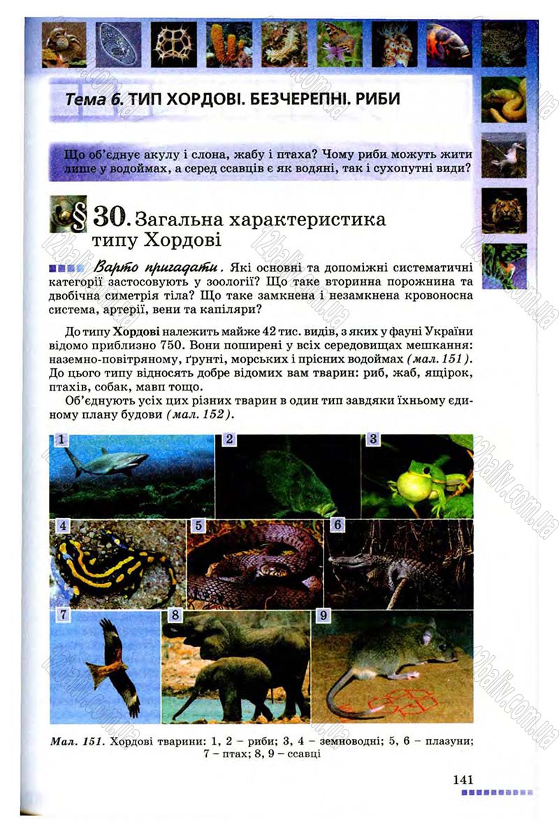 Сторінка 141 - Підручник Біологія 8 клас В.В. Серебряков, П.Г. Балан 2008