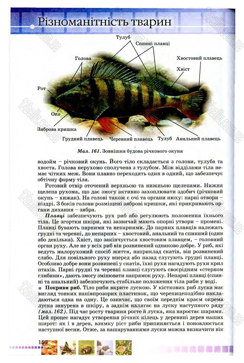 Сторінка 150 - Підручник Біологія 8 клас В.В. Серебряков, П.Г. Балан 2008