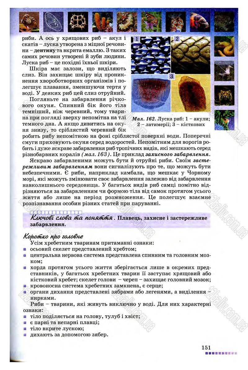 Сторінка 151 - Підручник Біологія 8 клас В.В. Серебряков, П.Г. Балан 2008