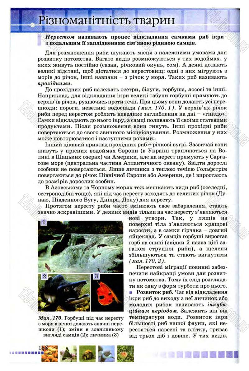 Сторінка 158 - Підручник Біологія 8 клас В.В. Серебряков, П.Г. Балан 2008