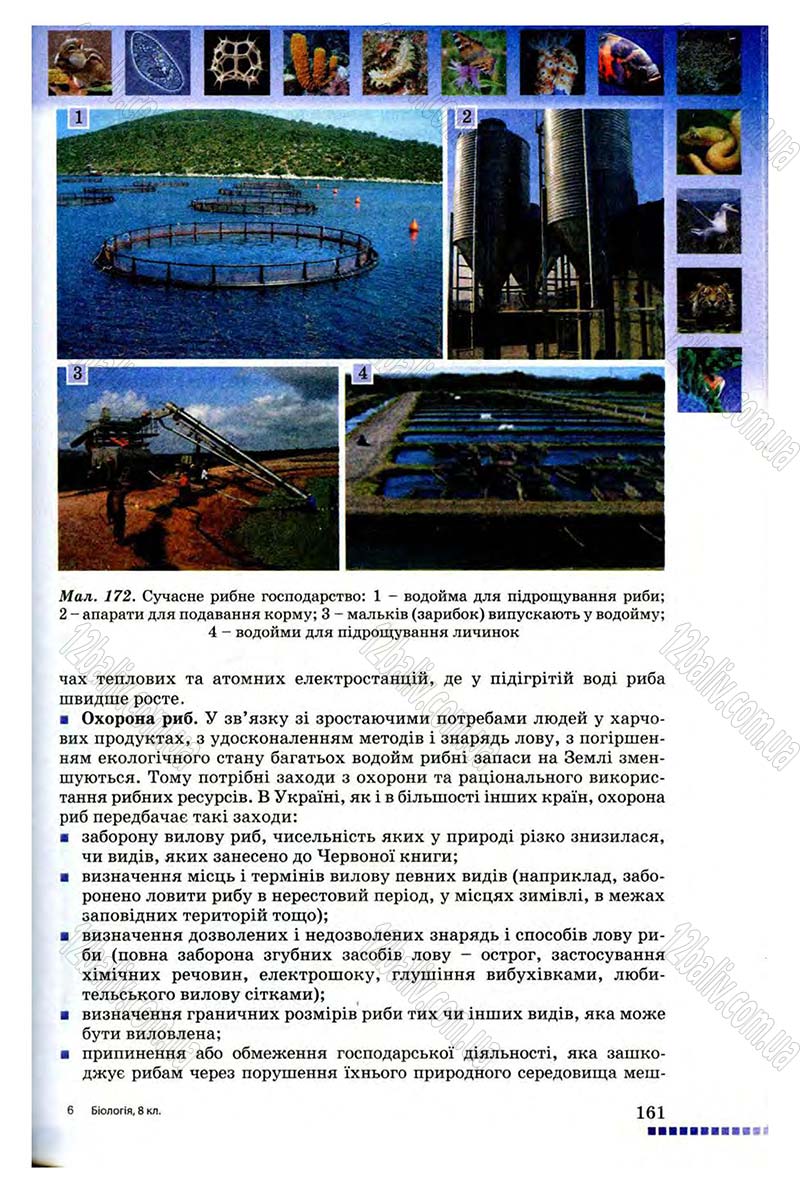 Сторінка 161 - Підручник Біологія 8 клас В.В. Серебряков, П.Г. Балан 2008