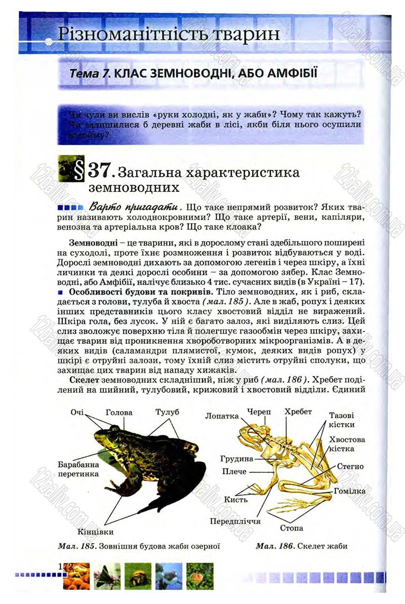 Сторінка 172 - Підручник Біологія 8 клас В.В. Серебряков, П.Г. Балан 2008