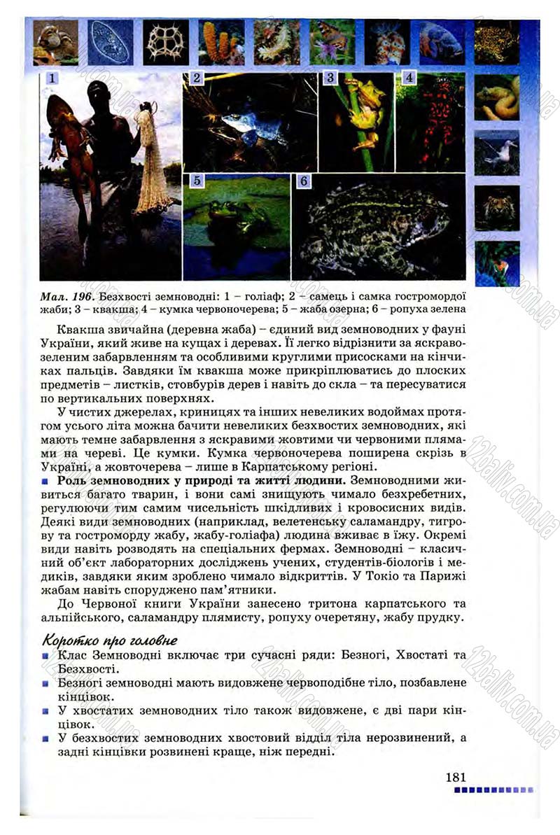 Сторінка 181 - Підручник Біологія 8 клас В.В. Серебряков, П.Г. Балан 2008