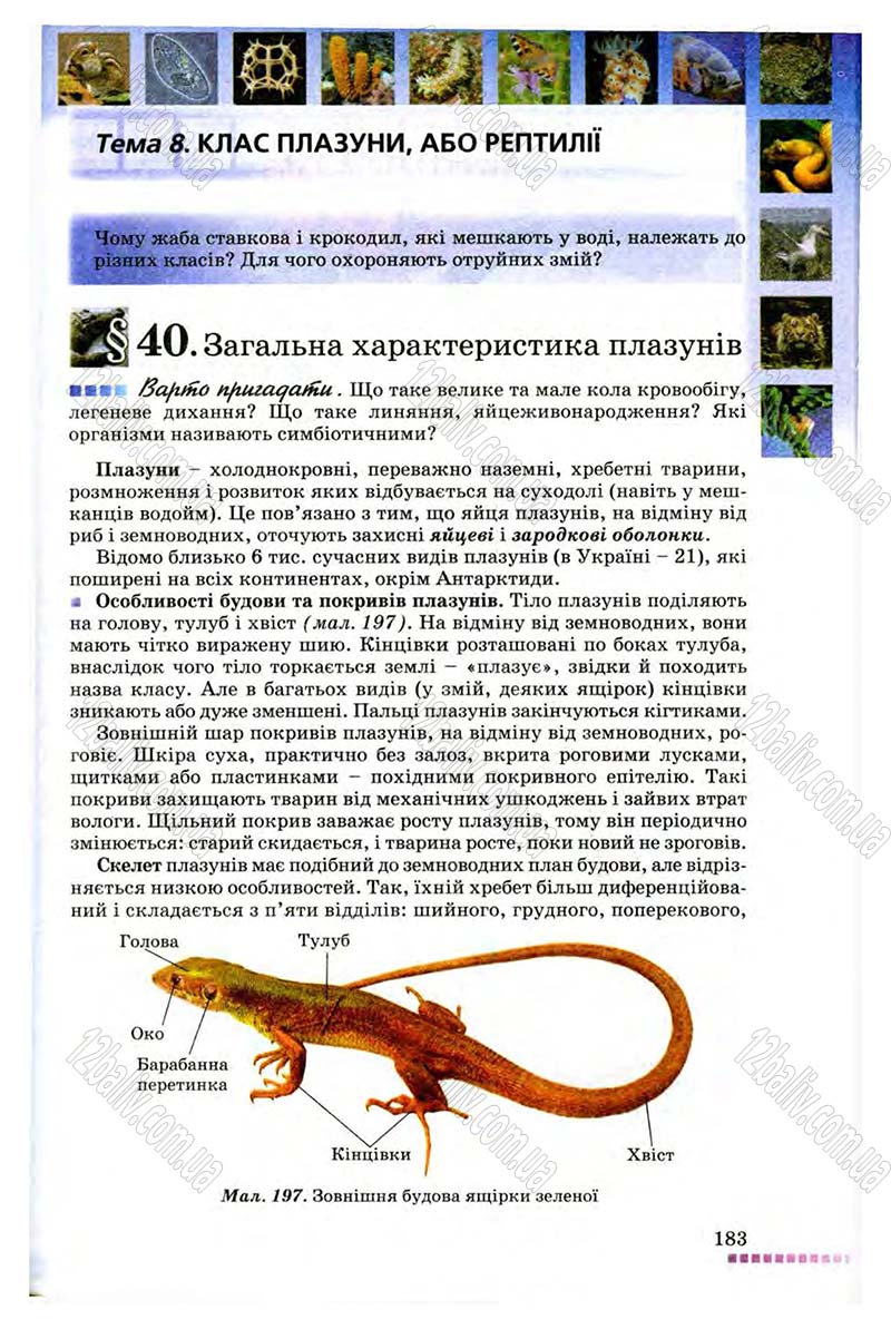 Сторінка 183 - Підручник Біологія 8 клас В.В. Серебряков, П.Г. Балан 2008