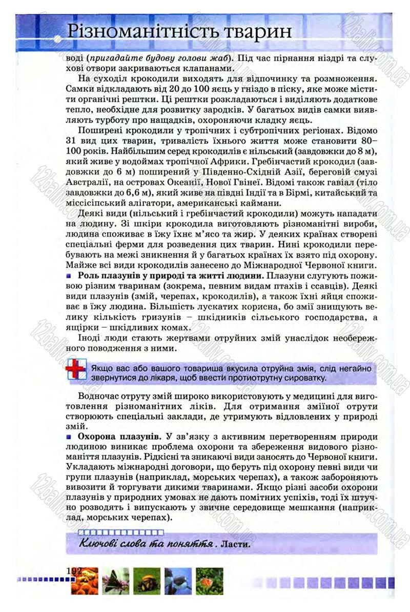 Сторінка 192 - Підручник Біологія 8 клас В.В. Серебряков, П.Г. Балан 2008