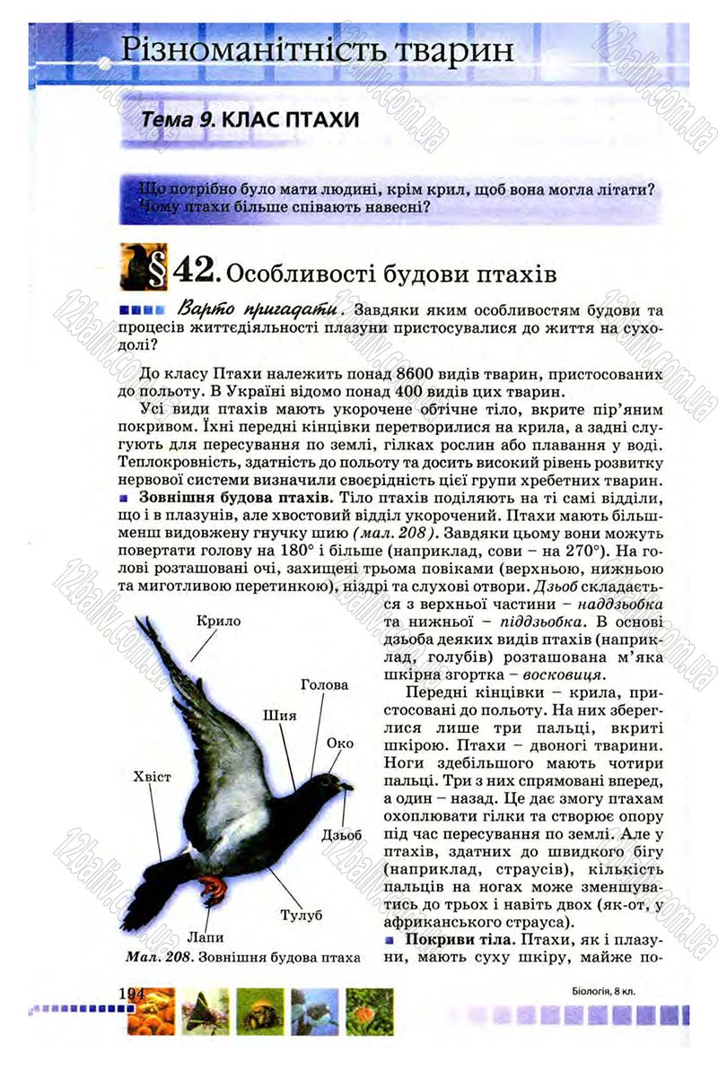 Сторінка 194 - Підручник Біологія 8 клас В.В. Серебряков, П.Г. Балан 2008