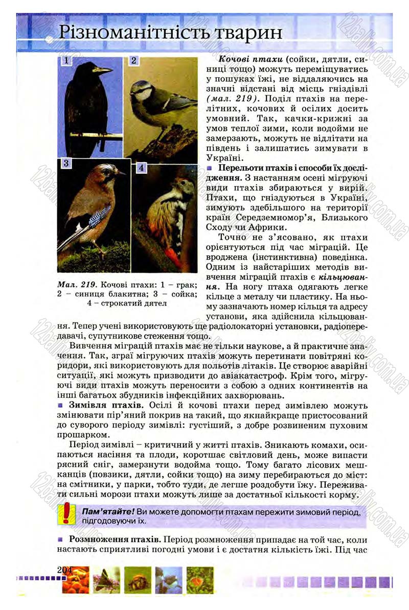 Сторінка 204 - Підручник Біологія 8 клас В.В. Серебряков, П.Г. Балан 2008
