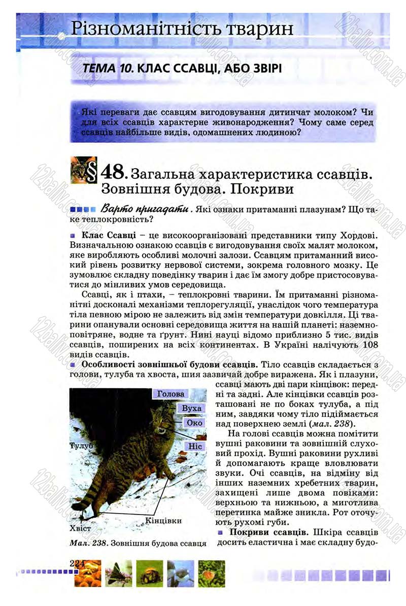 Сторінка 224 - Підручник Біологія 8 клас В.В. Серебряков, П.Г. Балан 2008
