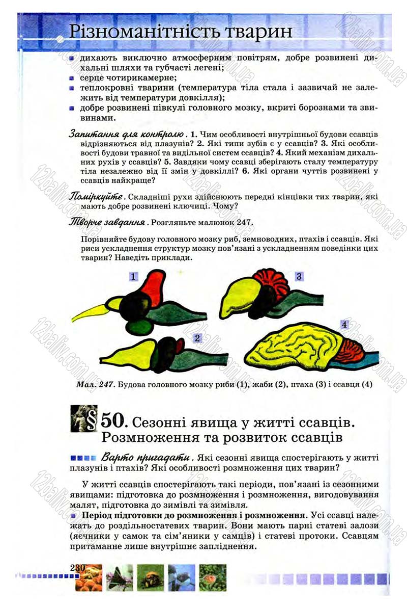 Сторінка 230 - Підручник Біологія 8 клас В.В. Серебряков, П.Г. Балан 2008