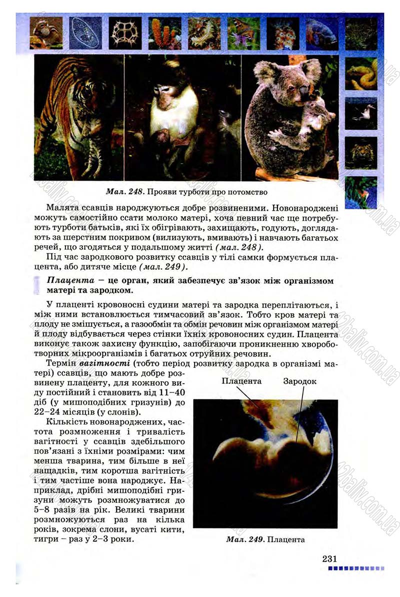 Сторінка 231 - Підручник Біологія 8 клас В.В. Серебряков, П.Г. Балан 2008