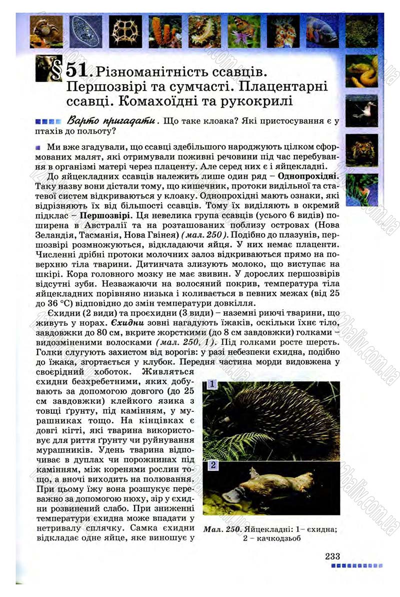 Сторінка 233 - Підручник Біологія 8 клас В.В. Серебряков, П.Г. Балан 2008