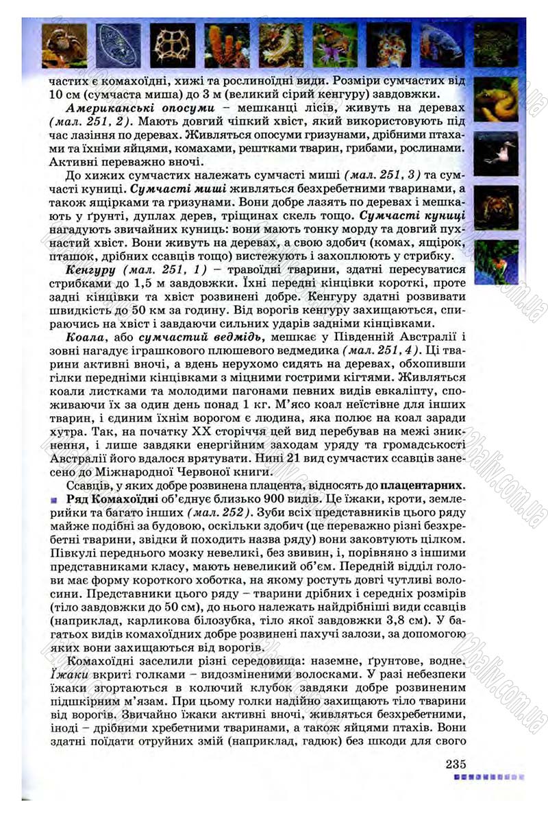 Сторінка 235 - Підручник Біологія 8 клас В.В. Серебряков, П.Г. Балан 2008