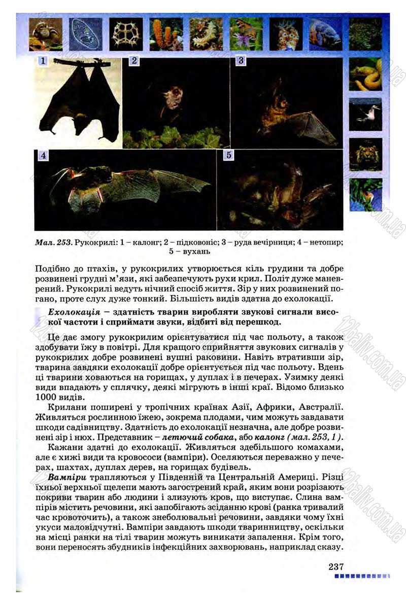 Сторінка 237 - Підручник Біологія 8 клас В.В. Серебряков, П.Г. Балан 2008