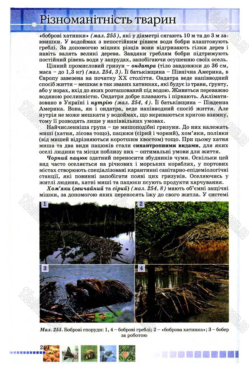 Сторінка 240 - Підручник Біологія 8 клас В.В. Серебряков, П.Г. Балан 2008