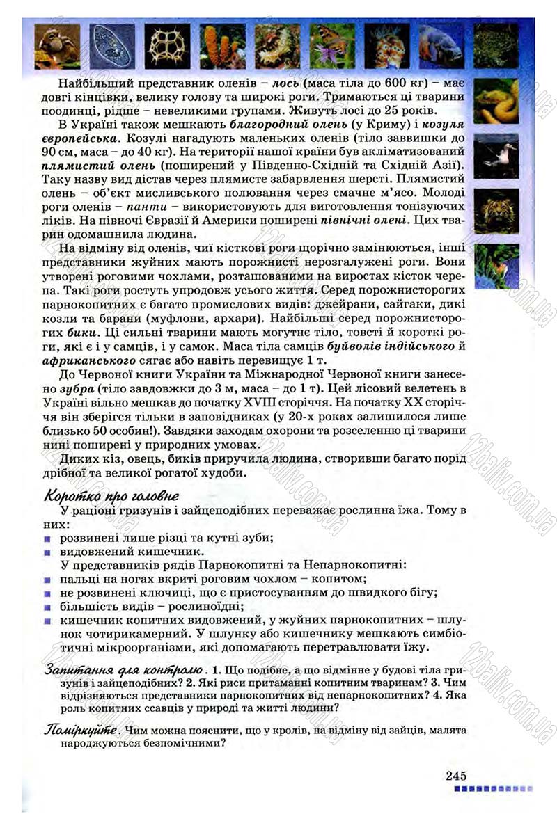 Сторінка 245 - Підручник Біологія 8 клас В.В. Серебряков, П.Г. Балан 2008