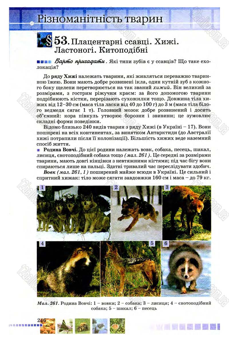 Сторінка 246 - Підручник Біологія 8 клас В.В. Серебряков, П.Г. Балан 2008