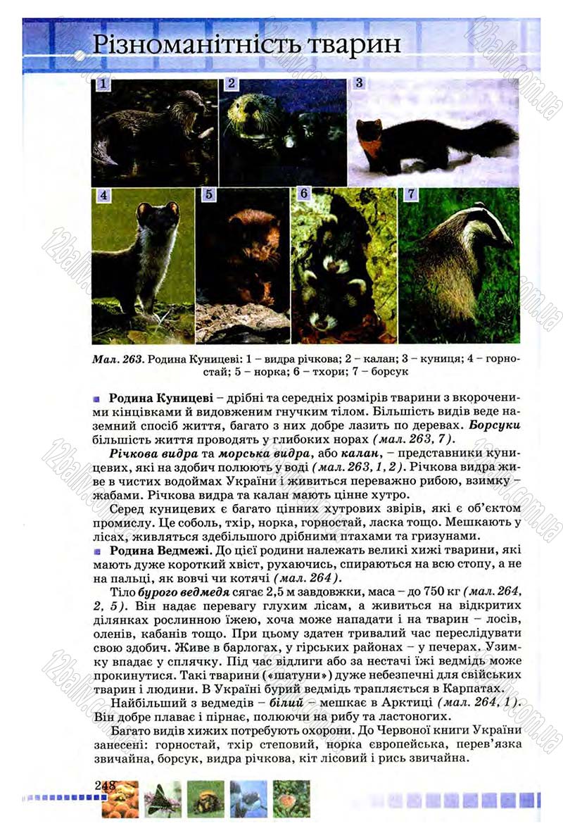 Сторінка 248 - Підручник Біологія 8 клас В.В. Серебряков, П.Г. Балан 2008