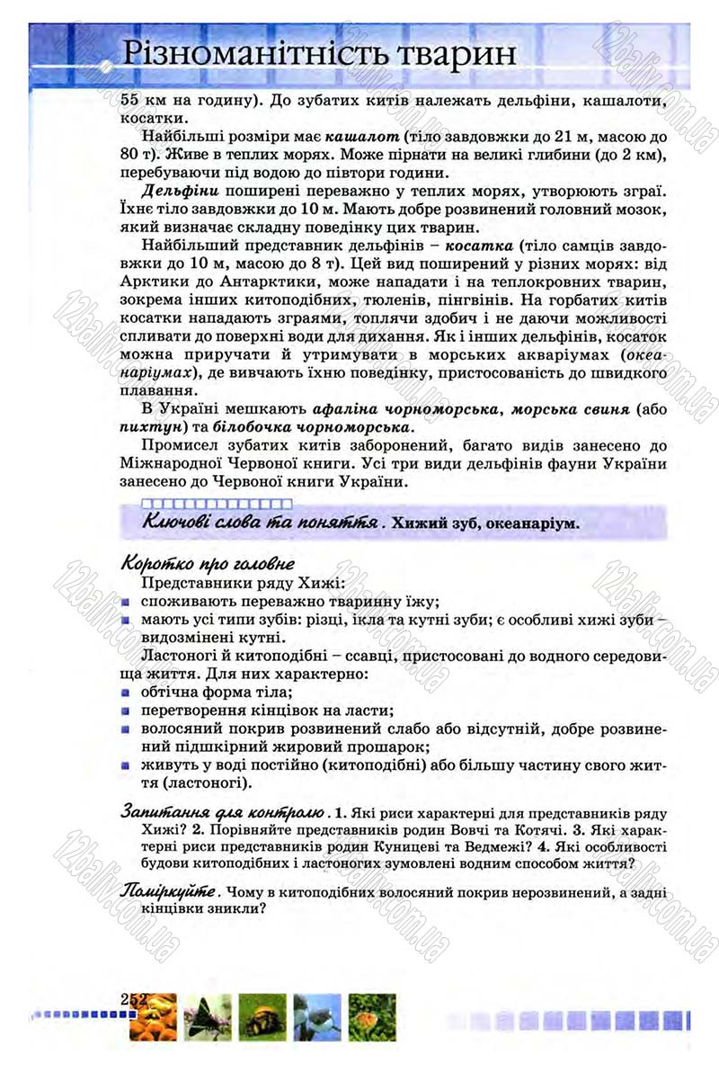 Сторінка 252 - Підручник Біологія 8 клас В.В. Серебряков, П.Г. Балан 2008