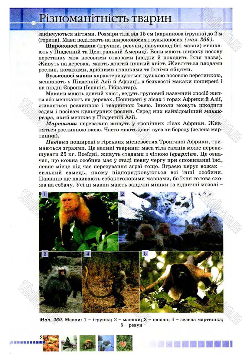 Сторінка 254 - Підручник Біологія 8 клас В.В. Серебряков, П.Г. Балан 2008
