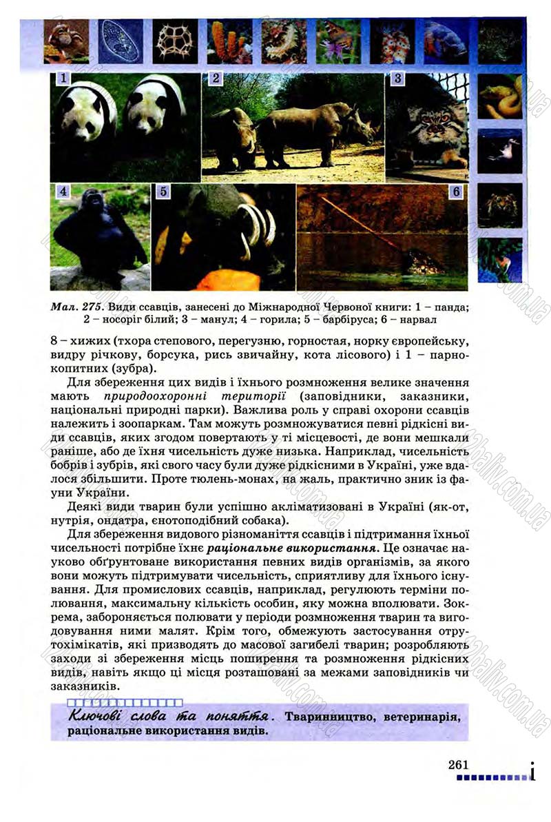 Сторінка 261 - Підручник Біологія 8 клас В.В. Серебряков, П.Г. Балан 2008