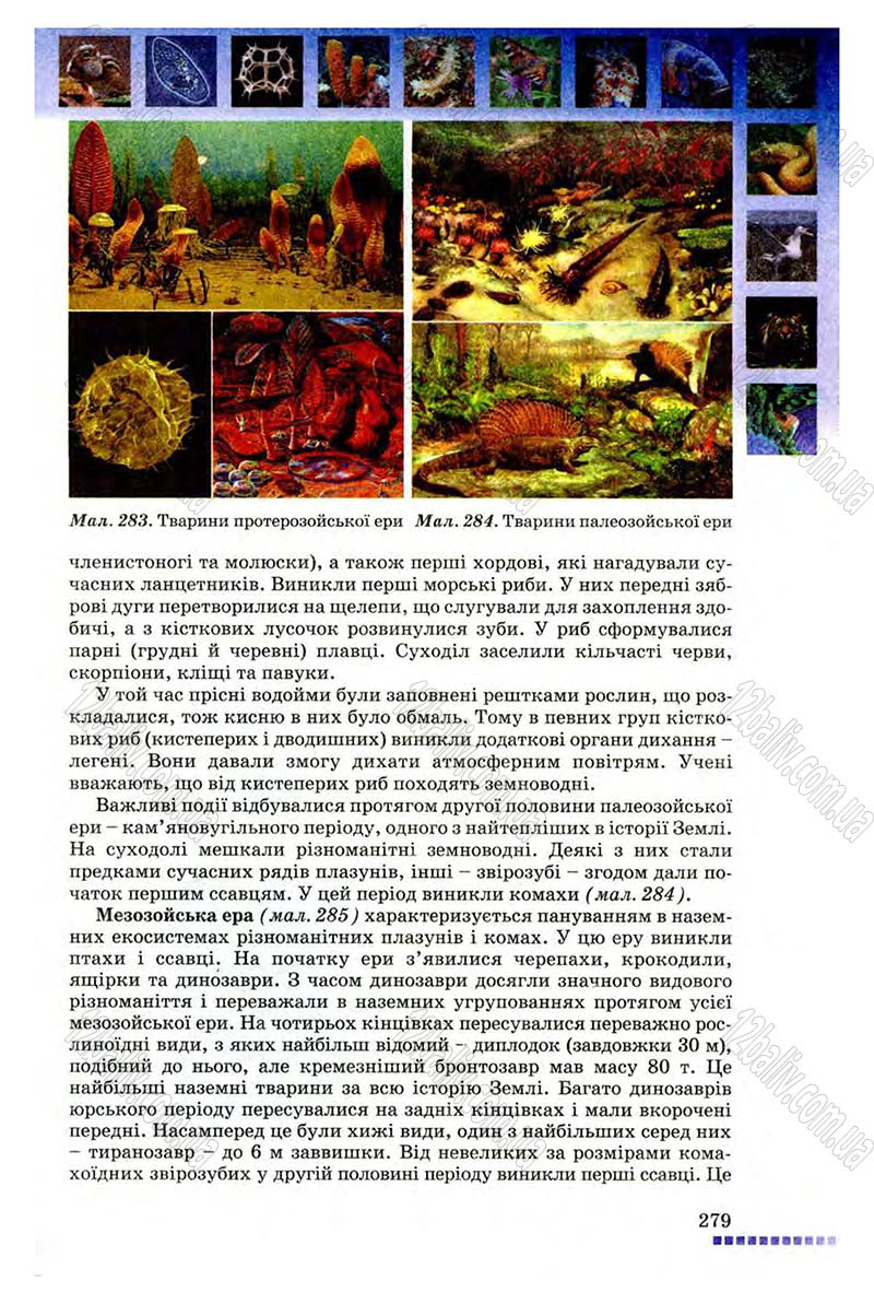 Сторінка 279 - Підручник Біологія 8 клас В.В. Серебряков, П.Г. Балан 2008