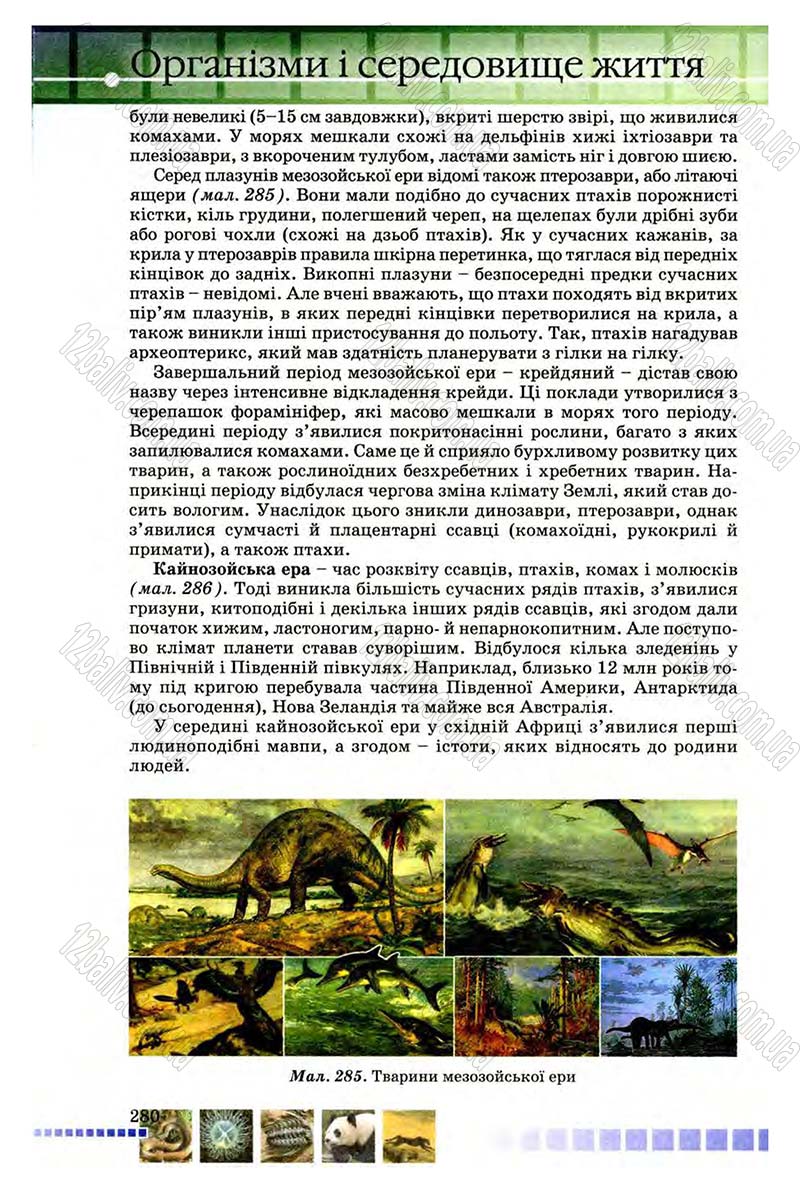Сторінка 280 - Підручник Біологія 8 клас В.В. Серебряков, П.Г. Балан 2008