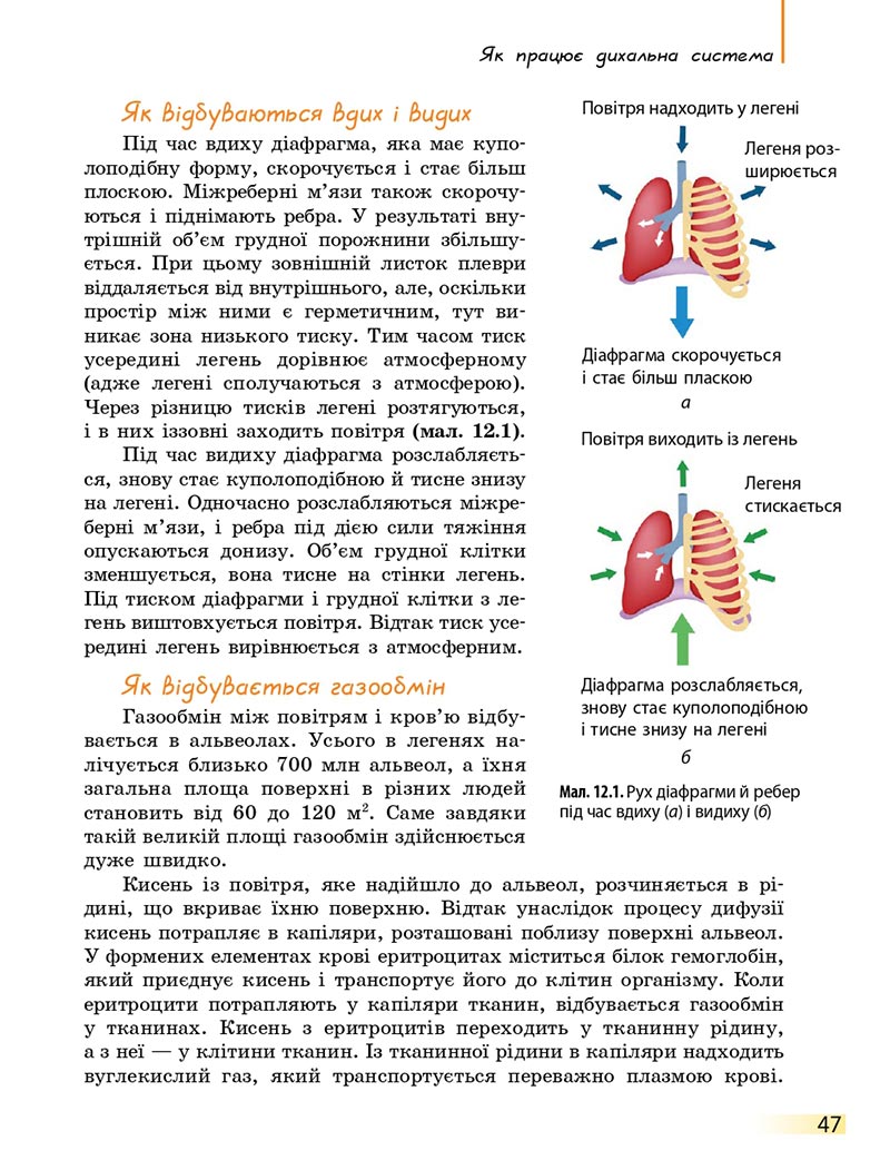 Сторінка 47 - Підручник Біологія 8 клас К.М. Задорожний 2021 - скачати онлайн