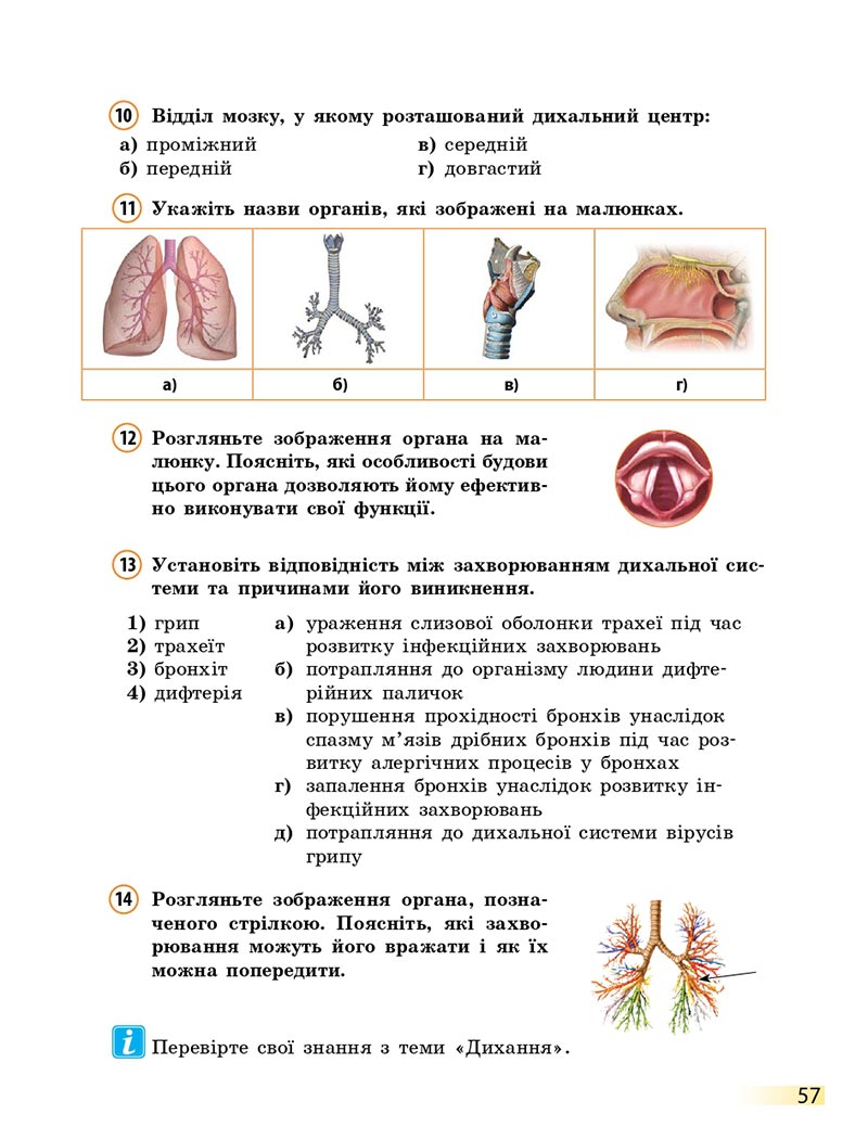 Сторінка 57 - Підручник Біологія 8 клас К.М. Задорожний 2021 - скачати онлайн