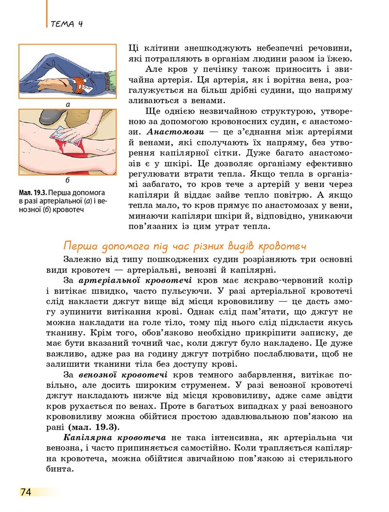 Сторінка 74 - Підручник Біологія 8 клас К.М. Задорожний 2021 - скачати онлайн