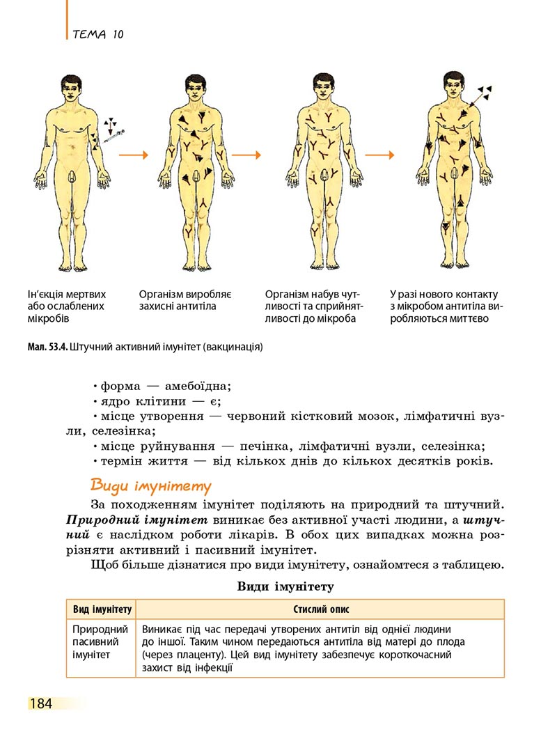 Сторінка 184 - Підручник Біологія 8 клас К.М. Задорожний 2021 - скачати онлайн