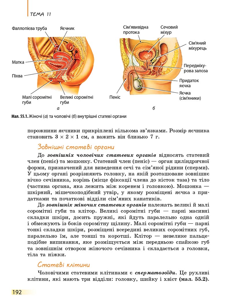 Сторінка 192 - Підручник Біологія 8 клас К.М. Задорожний 2021 - скачати онлайн