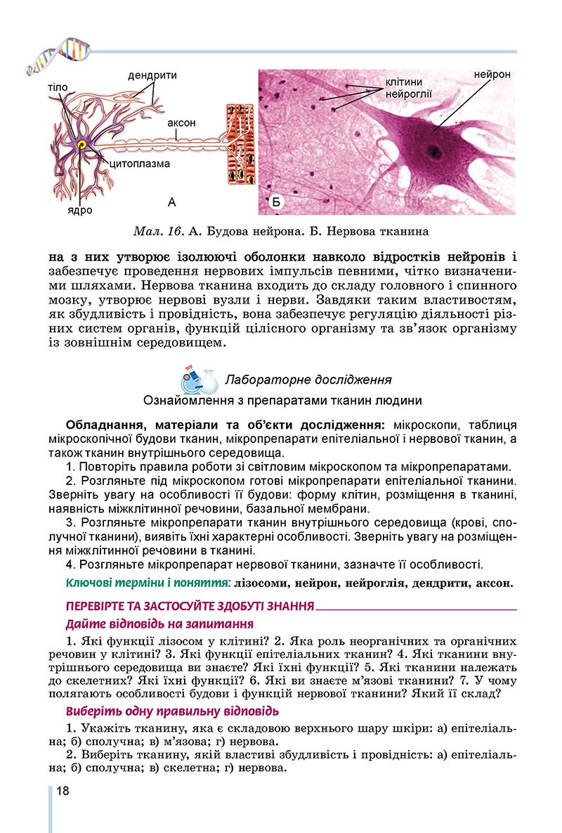 Сторінка 18 - Підручник Біологія 8 клас Матяш 2021 - скачати онлайн