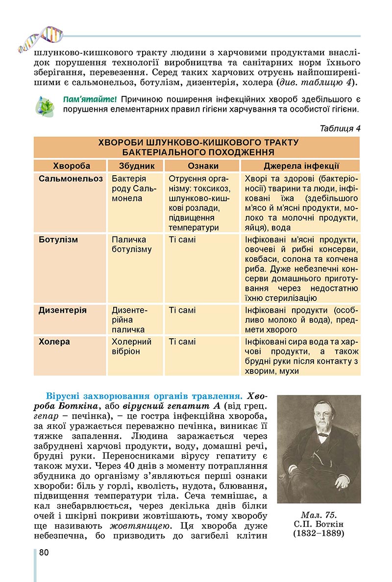 Сторінка 80 - Підручник Біологія 8 клас Матяш 2021 - скачати онлайн