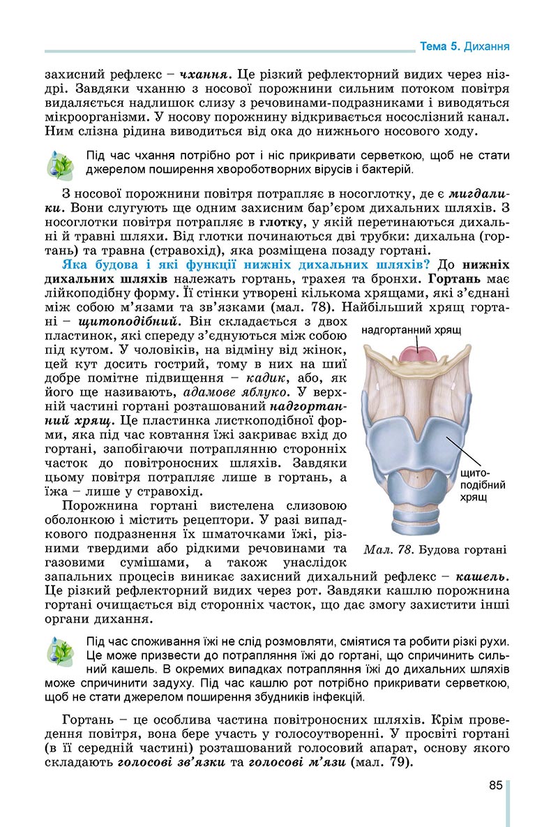 Сторінка 85 - Підручник Біологія 8 клас Матяш 2021 - скачати онлайн