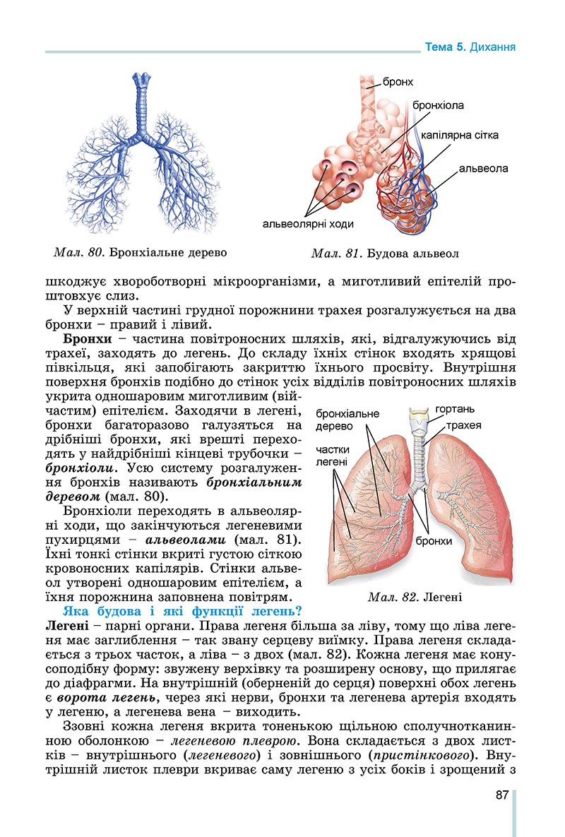 Сторінка 87 - Підручник Біологія 8 клас Матяш 2021 - скачати онлайн