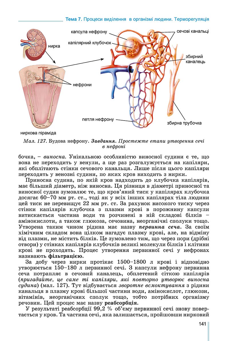 Сторінка 141 - Підручник Біологія 8 клас Матяш 2021 - скачати онлайн