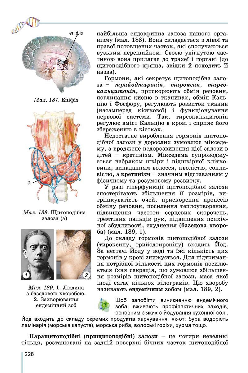 Сторінка 228 - Підручник Біологія 8 клас Матяш 2021 - скачати онлайн