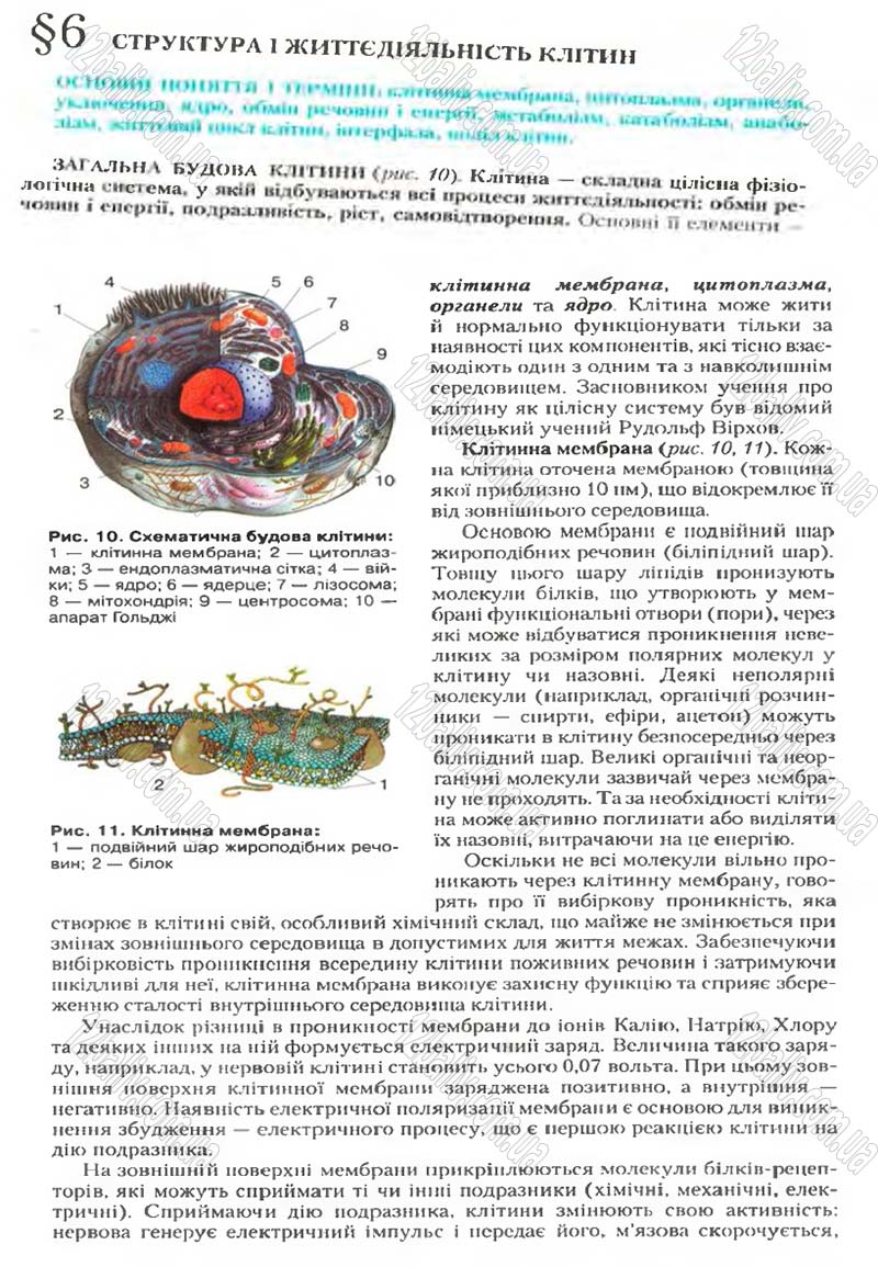Сторінка 17 - Підручник Біологія 9 клас С.В. Страшко, Л.Г. Горяна, В.Г. Білик, С.А. Ігнатенко 2009