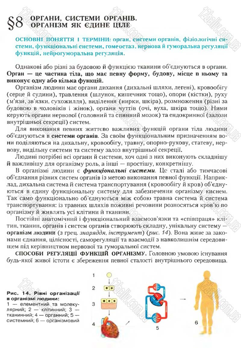 Сторінка 23 - Підручник Біологія 9 клас С.В. Страшко, Л.Г. Горяна, В.Г. Білик, С.А. Ігнатенко 2009
