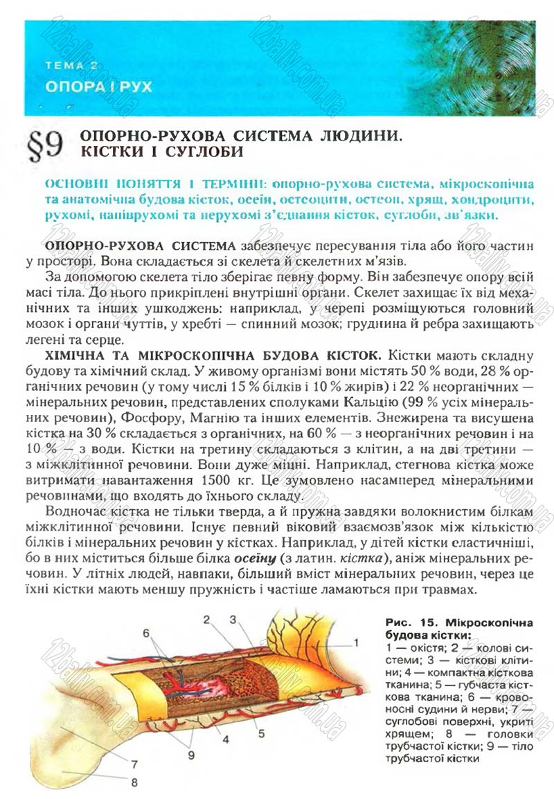 Сторінка 25 - Підручник Біологія 9 клас С.В. Страшко, Л.Г. Горяна, В.Г. Білик, С.А. Ігнатенко 2009