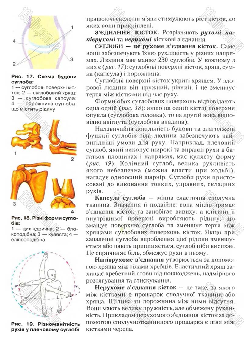 Сторінка 27 - Підручник Біологія 9 клас С.В. Страшко, Л.Г. Горяна, В.Г. Білик, С.А. Ігнатенко 2009